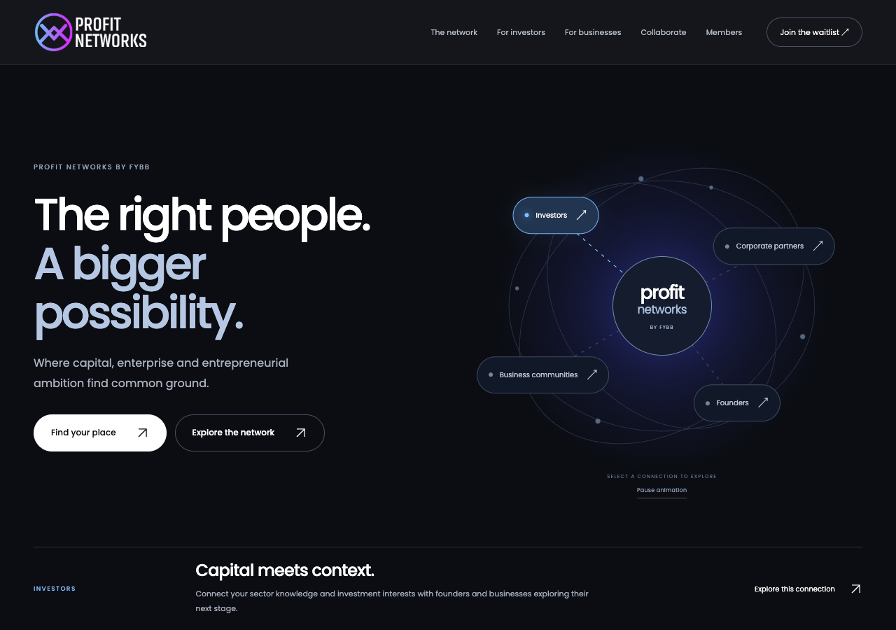 Profit Networks website preview